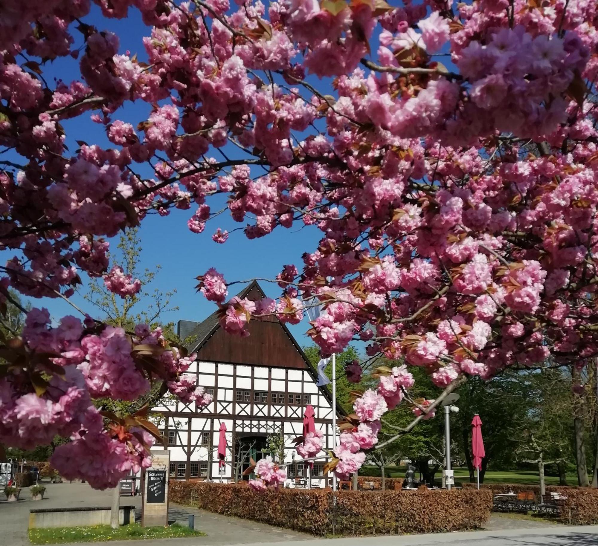 Hotel Hof Hueck Bad Sassendorf Exterior foto